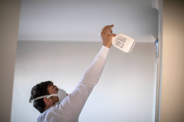 Best Toxic Mold Removal  in Cloverleaf, TX