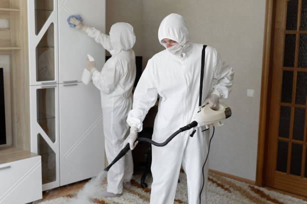 Best Home Mold Removal  in Cloverleaf, TX