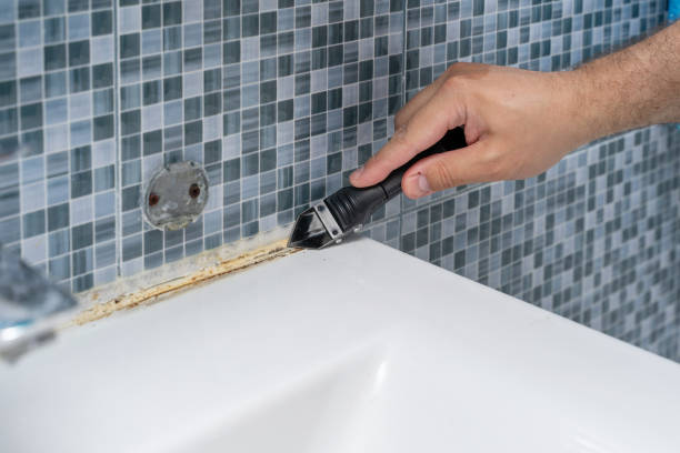 Best Home Mold Removal  in Cloverleaf, TX