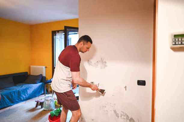 Best Water Damage Restoration  in Cloverleaf, TX