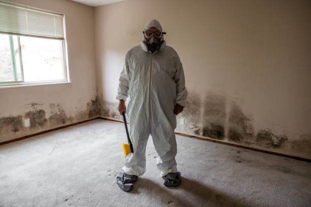 Best Residential Mold Removal  in Cloverleaf, TX
